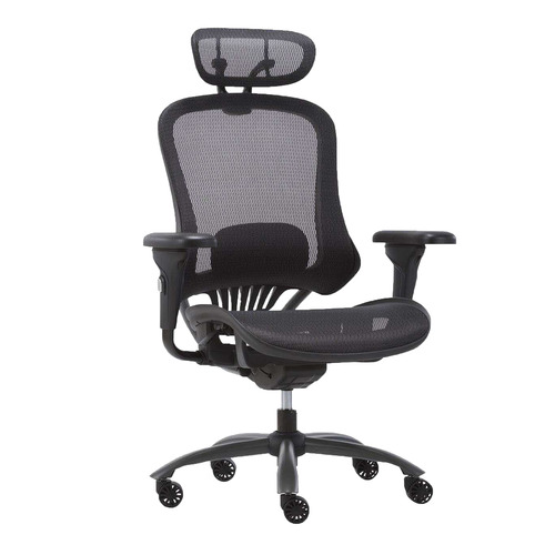 Temple and deals webster ergonomic chair